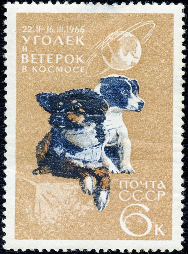 Spacedogs, Ugolek and Veterok