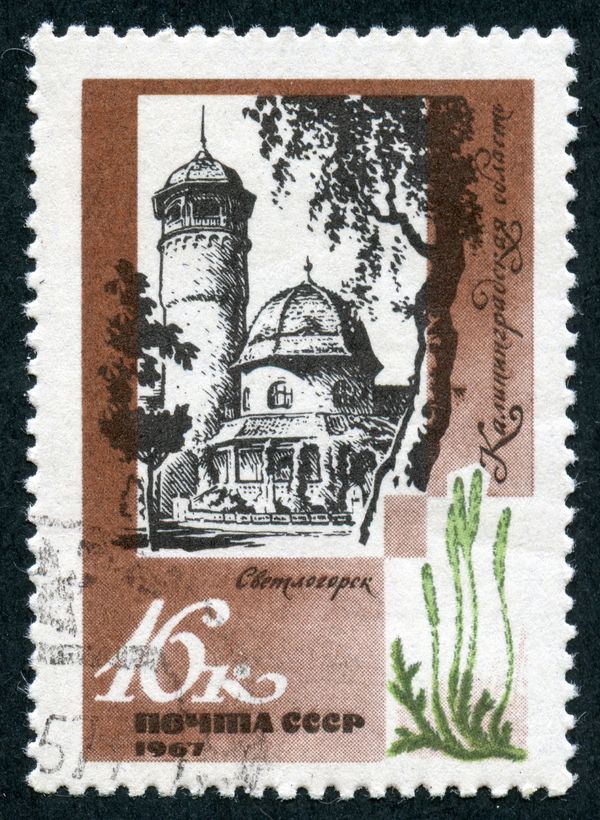 Svetlogorsk (Kaliningrad Oblast)