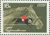 Budyonny & Steeple Chase