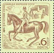 Horse-riding (Dressage)