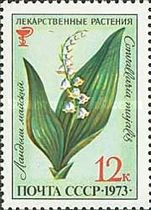 Lily of the Valley (Convallaria majalis)