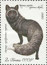 Silver-black Fox (Vulpes vulpes var.)