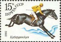 Racing - Kabarda Horse (Equus ferus caballus)