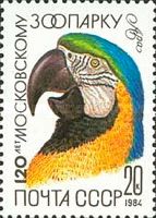 Blue and Yellow Macaw (Ara ararauna)