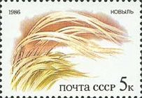 Feather Grass