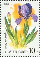 Iris Low