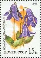 Bush Clematis (Clematis integrifolia)