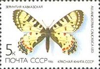 Eastern Festoon (Allancastria caucasica)
