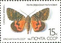 Dark Crimson Underwing (Catocala sponsa)