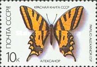 Southern Swallowtail (Papilio alexanor)