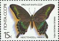 Alpine Black Swallowtail (Papilio maackii)