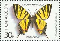 Scarce Swallowtail (Iphiclides podalirius)