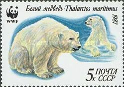 Polar Bear (Ursus maritimus) In and Out of Water