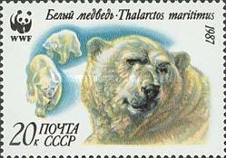 Polar Bear (Ursus maritimus) and Cubs