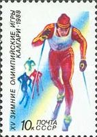 Cross-country Skiing