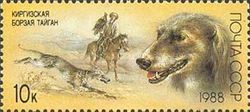 Taigan (Canis lupus familiaris)