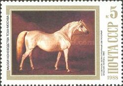 Light-grey Arab Stallion, N. Sverchkov (1860)
