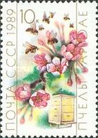 Honey Bee (Apis mellifica), Flowers and Hive