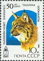 Eurasian Lynx (Lynx lynx)