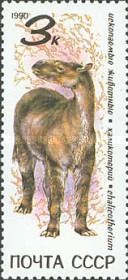 Chalicotherium