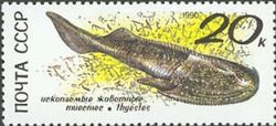 Cephalaspid (Thyestes)