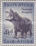 Hippopotamus (Hippopotamus amphibius)