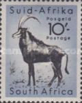 Sable Antelope (Hippotragus niger)