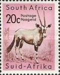 Gemsbok (Oryx gazella)