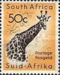 Giraffe (Giraffa camelopardalis)