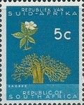 Baobab (Adansonia digitata)