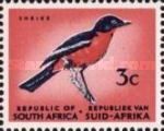 Crimson-breasted Shrike (Laniarius atrococcineus), redrawn