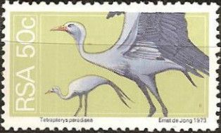 Blue Crane (Tetrapterys paradisea)