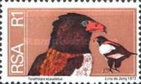 Bateleur Eagle (Terathopius ecaudatus)