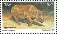 Black Rhinoceros (Diceros bicornis)