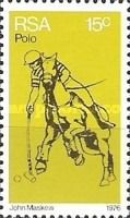 Polo Player