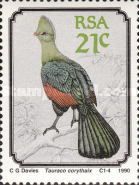 Knysna Turaco (Tauraco corythaix)