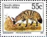 Aardwolf (Proteles cristatus)
