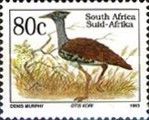 Kori Bustard (Otis kori)