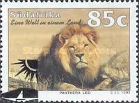 Lion (Panthera leo)