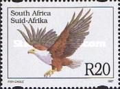 African Fish Eagle (Haliaeetus vocifer)