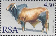 SAPDA '97 & Year of the Ox