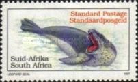 Leopard Seal (Hydrurga leptonyx)