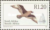 Antarctic Skua (Stercorarius antarcticus)