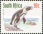 Jackass Penguin (Spheniscus demersus)