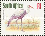 Wattled Crane (Bugeranus carunculatus)