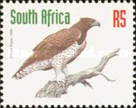 Martial Eagle (Polemaetus bellicosus)