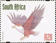 African Fish Eagle (Haliaeetus vocifer)