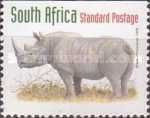 Black Rhinoceros (Diceros bicornis)