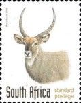 Waterbuck (Kobus ellipsiprymnus)