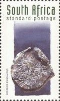 San Rock Engravings